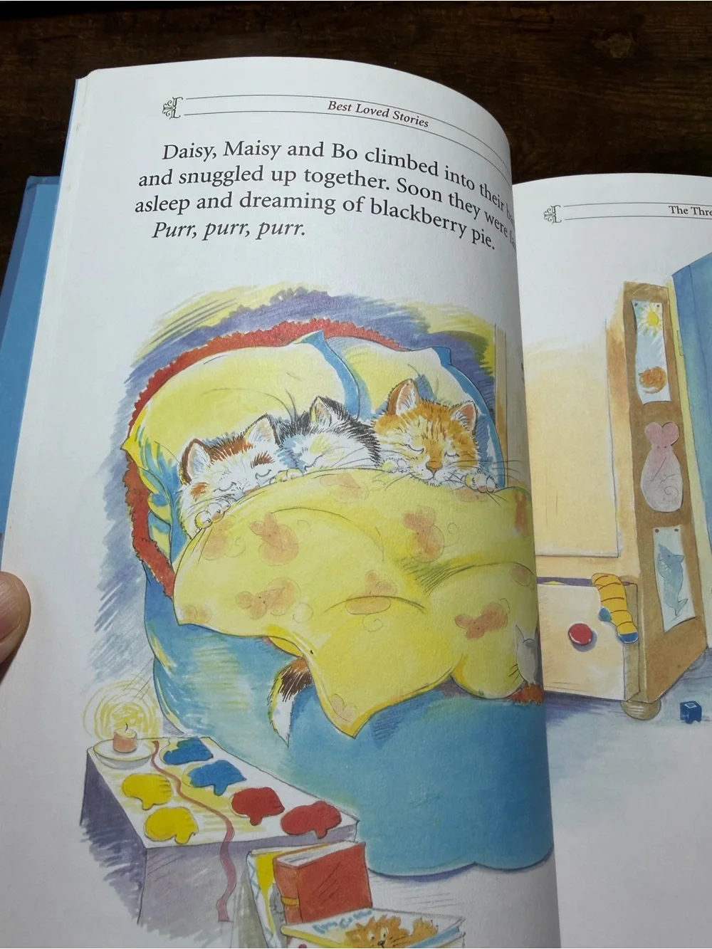The Three Little Kittens Collection of Stories Hardcover Book.